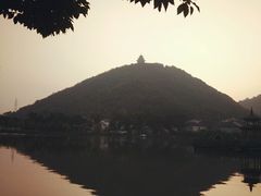 -黄贤森林公园