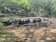 -海口火山口国家地质公园