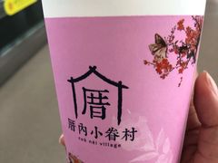 -厝内小眷村cuo nei village(禄口机场旗舰店)