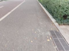 -南宁南湖公园