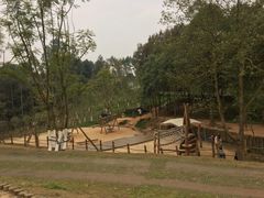 -黄龙溪欢乐田园