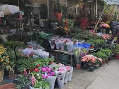 -平吉花卉市场