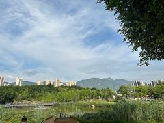 -牛岗山公园
