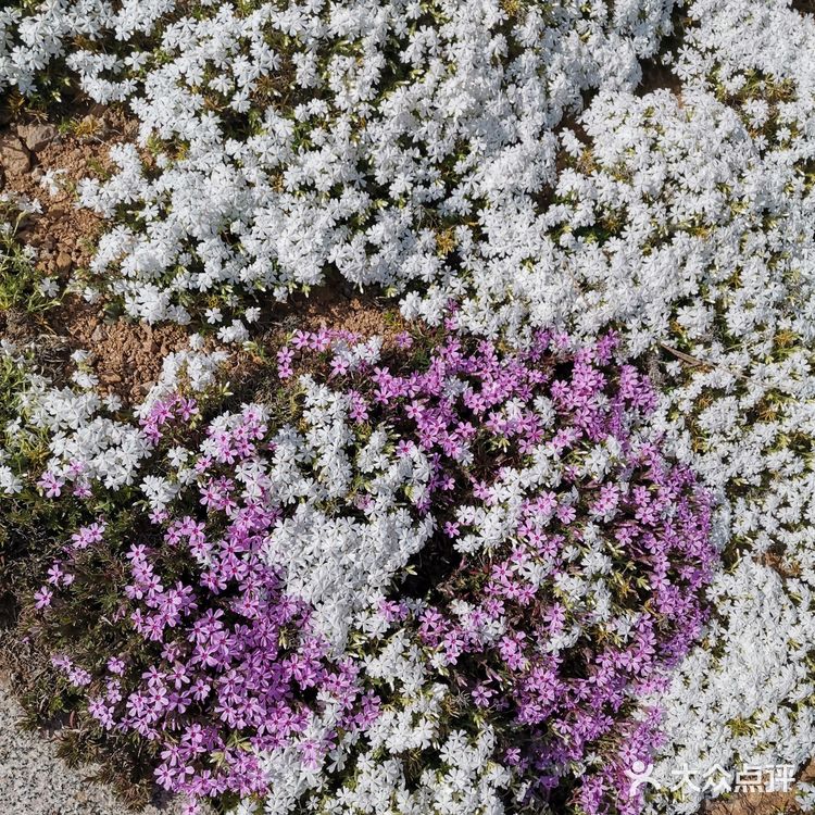带着自己的家人去户外呼吸一下新鲜的空气