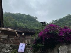 -高荡千年布依古寨旅游景区