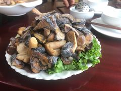 -野菌皇海景野生菌火锅(滨海大道店)