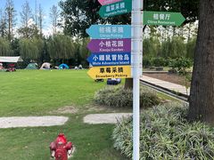 -前小桔亲子创意农场·草莓采摘·露营烧烤