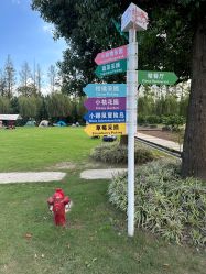-前小桔亲子创意农场·草莓采摘·露营烧烤