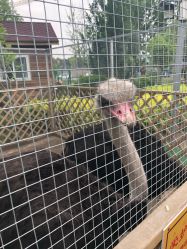 -萌宠亲子动物乐园(槐房万达店)