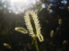 -罗田薄刀峰风景区