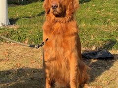 -杭州城北体育公园