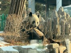 -大连森林动物园