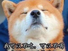 -同济大排档