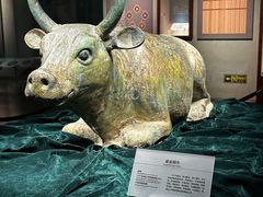 -宁夏博物馆