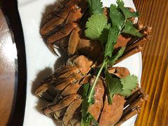 -呼吸森林·生态农庄农家乐私房菜