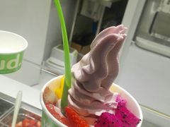 -Salud撒露欧洲冻酸奶(北苑上品店)