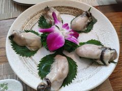-酒井酱子·深夜食堂(东城汇店)