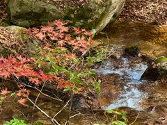 -丹东天桥沟景区