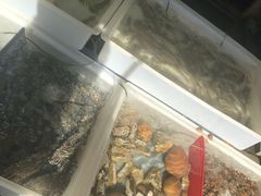 -拉威海鲜市场