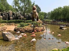 -北京野生动物园