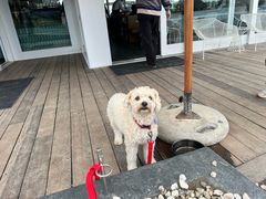 -Takapuna Beach Cafe