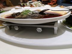 鸡汁长江嫩白鱼-小厨娘淮扬菜(板桥一店)