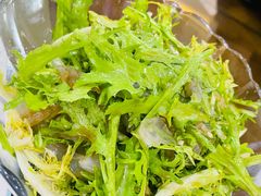 拌苦菊-京天红酒家(虎坊路店)