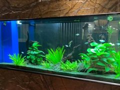 水产区-松临·铁板烧&Omakase(神农店)