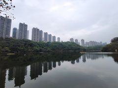 -重庆彩云湖湿地公园