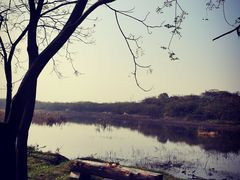 -盘龙城国家考古遗址公园