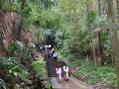 -凤栖山