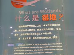 -中国湿地博物馆
