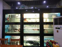 -全乐鱼馆·淳牌有机鱼直营店