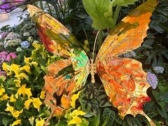 -DFS迪斐世(澳门美高梅店美妆世界)