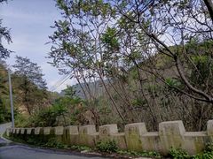 -妙峰山风景名胜区