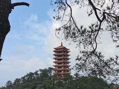 -缙云山景区
