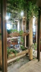 -青青一生美皮肤管理