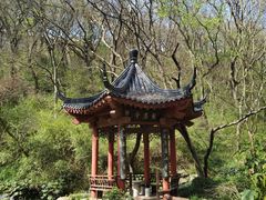-句容茅山景区