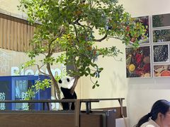 -川成元·麻辣香锅(凯德MALL西直门店)