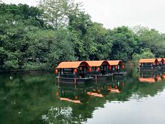 -侨美·唐荔园·40年地道粤菜