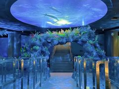 -陕西自然博物馆