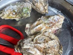 海蛎子-九层海鲜塔(市南店)