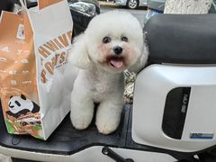 -帕帕拉兹宠物(亚洲旗舰店)