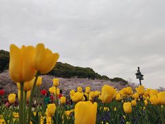 -苏州上方山国家森林公园