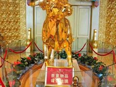 -华西龙希国际大酒店旅游观光景区