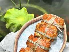 -蟹村草堂·苏式园林人文农家·大闸蟹