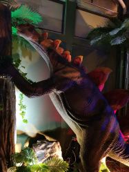 -恐龙探索乐园(磁器口店)