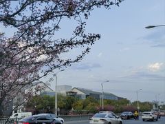 -苏州上方山国家森林公园