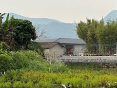 -苏家围·东江画廊旅游景区