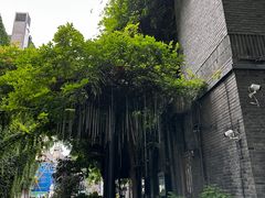 -1912街区